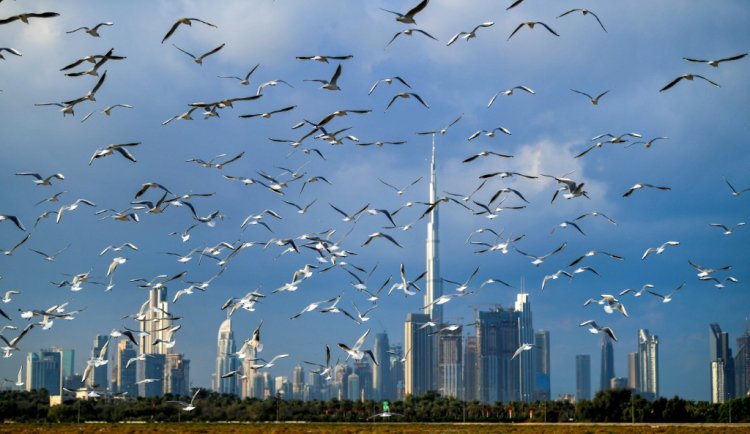 قطاع الطيران يلتقي في دبي بعد جائحة كوفيد وتحت ضغوط بيئية