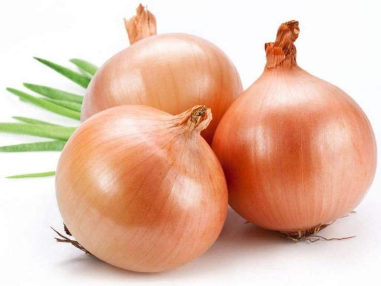 اليكم فوائد وأضرار البصل
