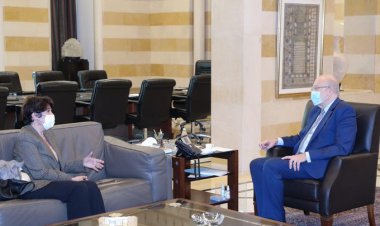 في نشاط السراي لقاءات دبلوماسية ووزارية وهذه الحصيلة
