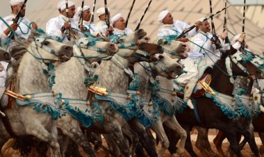 تقليد "تبوريدة" لعروض الفروسية المغربي على قائمة اليونسكو للتراث العالمي