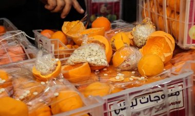 مولوي تابع مجريات التحقيق بعد ضبط شحنة ليمون الكبتاغون وأثنى على التعاون الامني اللبناني الكويتي