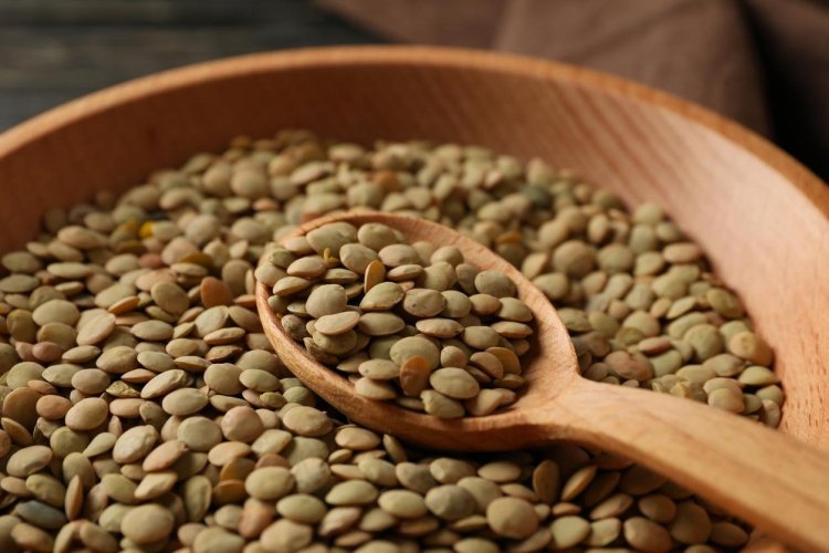 بعد ارتفاع سعر العدس.. هل يودع اللبنانيون طبق "المجدرة"؟