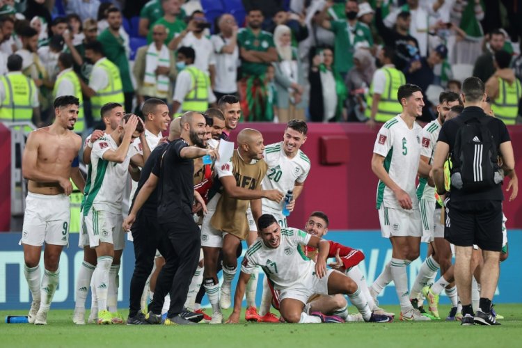 الجزائر ومصر والمغرب تلحق بقطر إلى ربع النهائي