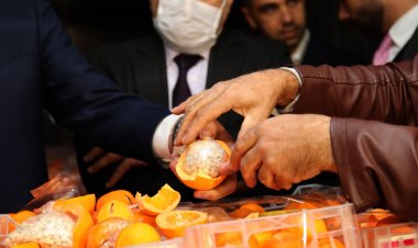 هل يفتح «الليمون المخدّر» ثغرة أقفلها «الرمان المخدّر»؟!