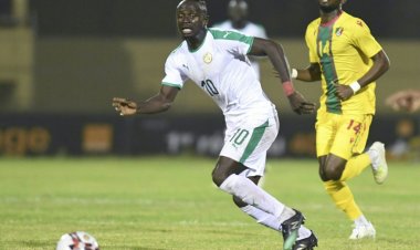 كأس أمم إفريقيا: ضيوف يؤمن بقدرات منتخب بلاده لاحراز اللقب
