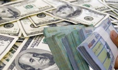كم بلغ حجم التداول على منصة  صيرفة اليوم ؟