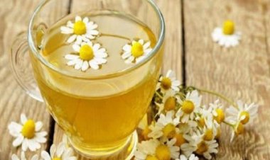 أعشاب مهدئة ومنومة