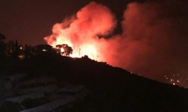 رغم برودة الطقس.. حريق يلتهم أحراج عكّار