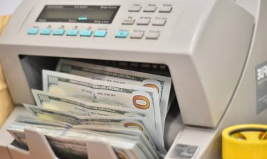 كم بلغ سعر صرف الدولار مساء اليوم؟
