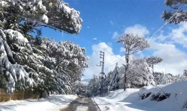 "هبة" تودّعنا ولكن... احذروا الجليد!