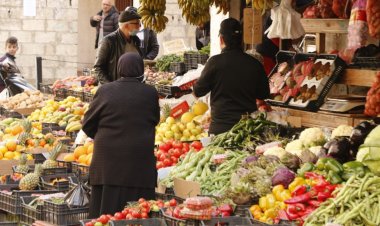 الأمن الغذائي بين وزير الاقتصاد وشولز