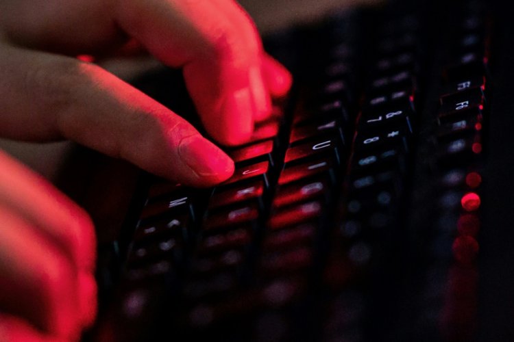"على الإنترنت، لا أحد يعرف أنك كلب".. فهل يتم التحقق من عمر متصفّحي الإنترنت؟