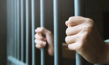 توقيف الرأس المدبر لعمليات سرقة سيارات من طرابلس وجوارها