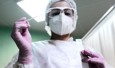 1233 إصابة جديدة  بكورونا ...ماذا عن الوفيات ؟