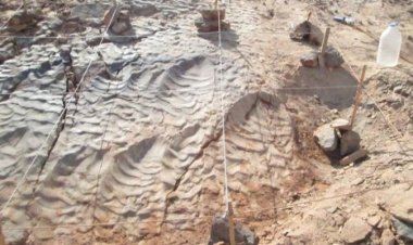 العثور على آثار ديناصورات في جبل لبنان