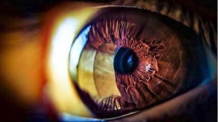 اختراق علمي... عيون إلكترونية لفاقدي البصر