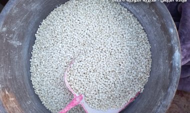 بينهم 3 مصريين وسوري.. الأمن السعودي يعتقل عصابة حاولت تهريب نصف مليون قرص مخدر