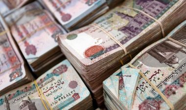 الجنيه المصري يواصل "رحلة الهبوط" أمام الدولار