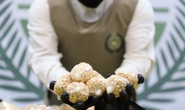 بالصور - عملية تهريب جديدة ... ملايين الحبوب المخدرة من لبنان الى السعودية