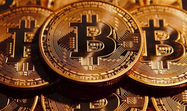 الانخفاض الكارثي.. ماذا يحدث في سوق البيتكوين وماذا يعني؟