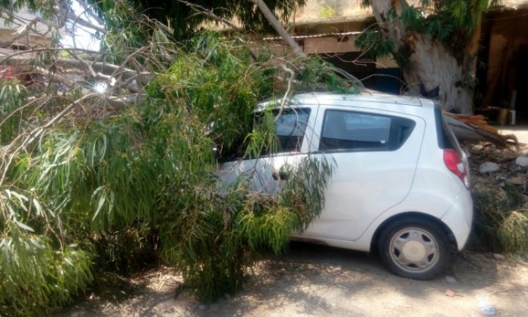 سقوط شجرة على منزل والدفاع المدني اجلى 4 أطفال