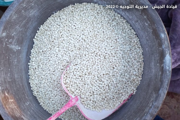 بالصور: ضبط "مزرعة" لتصنيع الكبتاغون في بعلبك