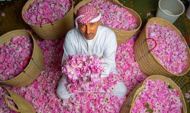 إفطار بنكهة مختلفة بين بساتين الورد في السعودية