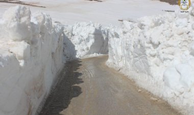 بالصور: الجيش أعاد فتح طريق الطفيل التي أغلقتها الثلوج