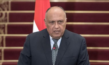 سامح شكري: الدول العربية عرضت الوساطة بين روسيا وأوكرانيا