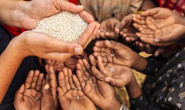 السفارة الاميركية تعلن عن مساعدات جديدة للبنان استجابة لأزمة الغذاء العالمية