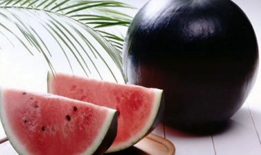 الأغلى في العالم.. هل سمعت بـ"البطيخ الأسود"؟
