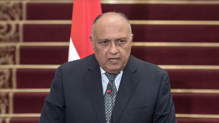 سامح شكري: الدول العربية عرضت الوساطة بين روسيا وأوكرانيا
