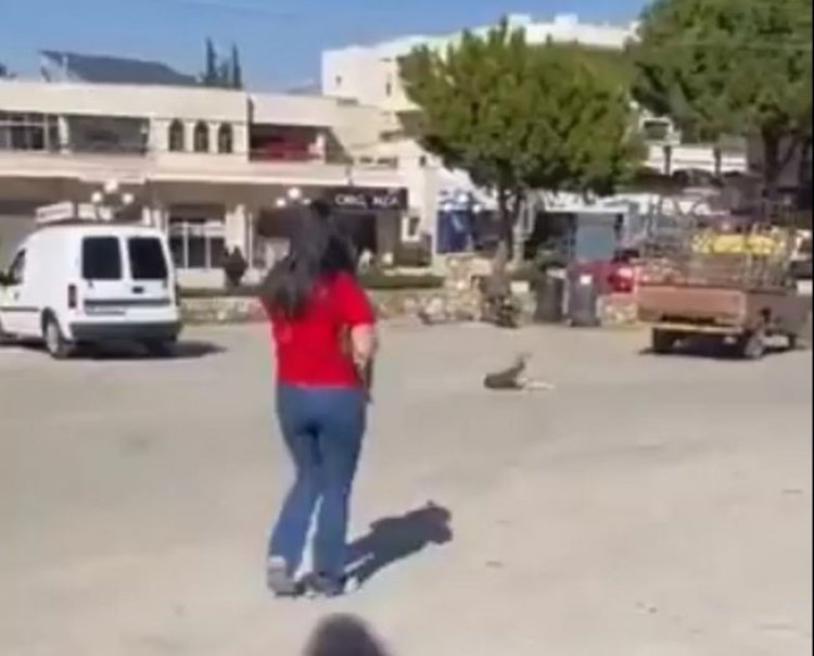 بعد تصدرها التريند.. ما قصة الأم التي قتلت كلبا في لبنان؟