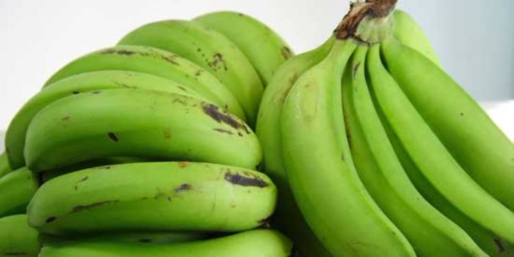 فوائد مذهلة للموز الأخضر