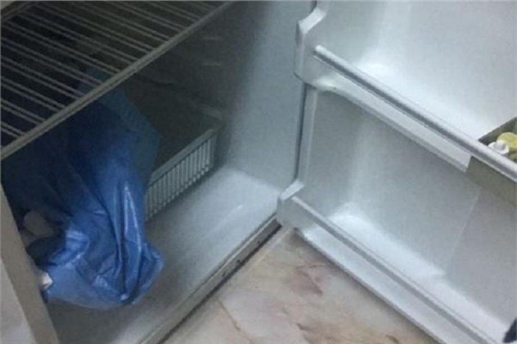 وضع جدّته في الثلاجة للتخلص منها