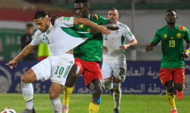 رسميا.. فيفا يرد على طلب إعادة مباراة الجزائر والكاميرون