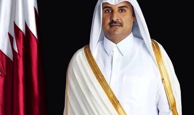 أمير قطر يستقبل مستشار الأمن الوطني الإماراتي
