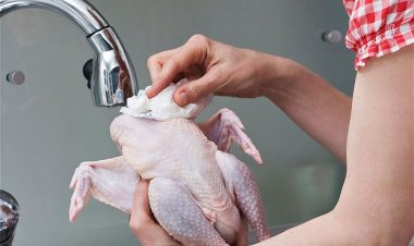 العلماء يوضّحون كيفية غسل لحم الدجاج بأمان !