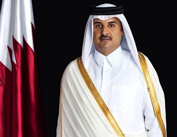 أمير قطر يستقبل مستشار الأمن الوطني الإماراتي