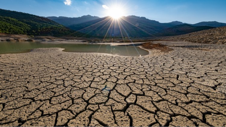 الصين اصدرت أول إنذار من الجفاف وتكافح لإنقاذ المحاصيل في موجة حر شديدة
