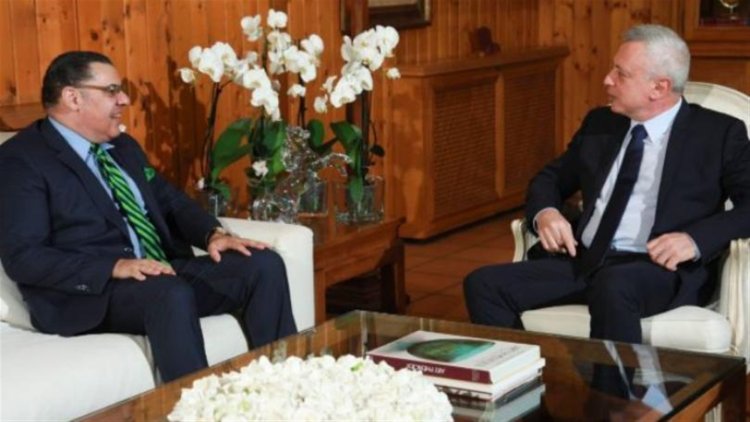 فرنجية استقبل السفير المصري وبحثا في التطورات