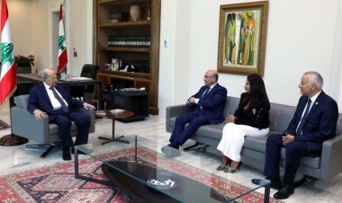 نقيب الأطباء من بعبدا: الطبيب والمريض في خطر!