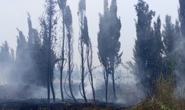 حريق كبير في المشتل الزراعي لوزارة الزراعة في العبدة والاهالي يناشدون