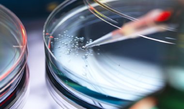 استنساخ حيوانات من خلايا الجلد المجففة بالتجميد لأول مرة علميا!