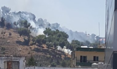 حريق كبير في حرج صنوبر جبل الرويس في الشقيف