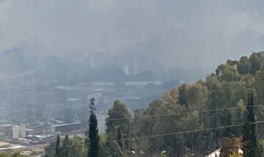 وزير الزراعة طلب من قيادة الجيش تدخل مروحياتها بعد تجدد الحريق بين كفررمان - جرمق - سجد