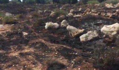 مسلسل الحرائق تابع... اندلاع نيران في بلدة جديدة