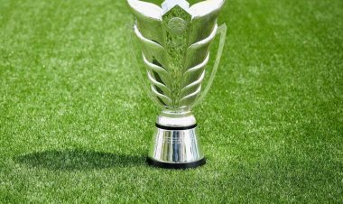من بينها قطر.. 4 دول جاهزة لاستضافة كأس آسيا بدل الصين عام 2023