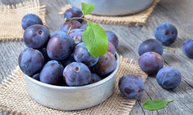 دراسة: الخوخ يمكن أن يجدد العظام