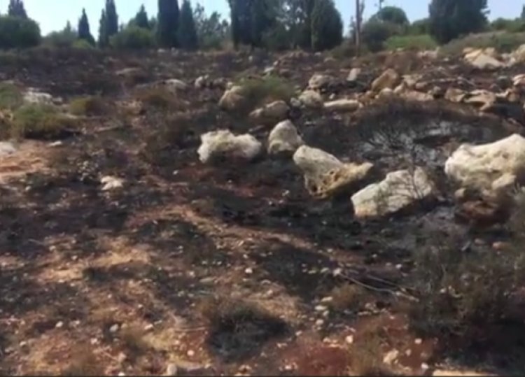 مسلسل الحرائق تابع... اندلاع نيران في بلدة جديدة